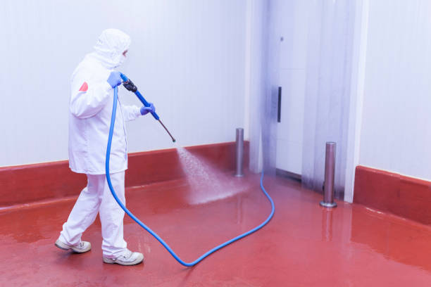 Best Warehouse Cleaning  in Norridge, IL